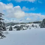 Schwarzwalduhren Nescht Triberg Apartamento Triberg im Schwarzwald