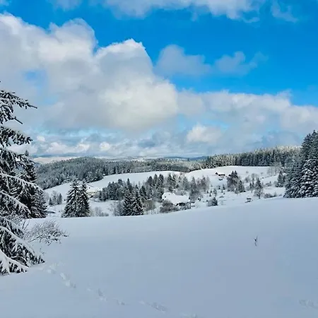 Schwarzwalduhren Nescht Triberg Apartment Triberg im Schwarzwald
