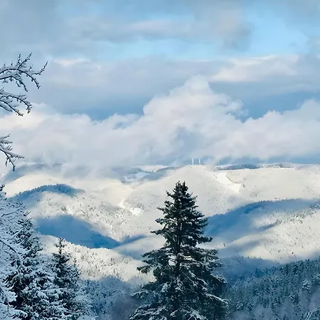 Lägenhet Schwarzwalduhren Nescht Triberg Triberg im Schwarzwald