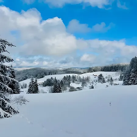 Schwarzwalduhren Nescht Triberg Apartamento *